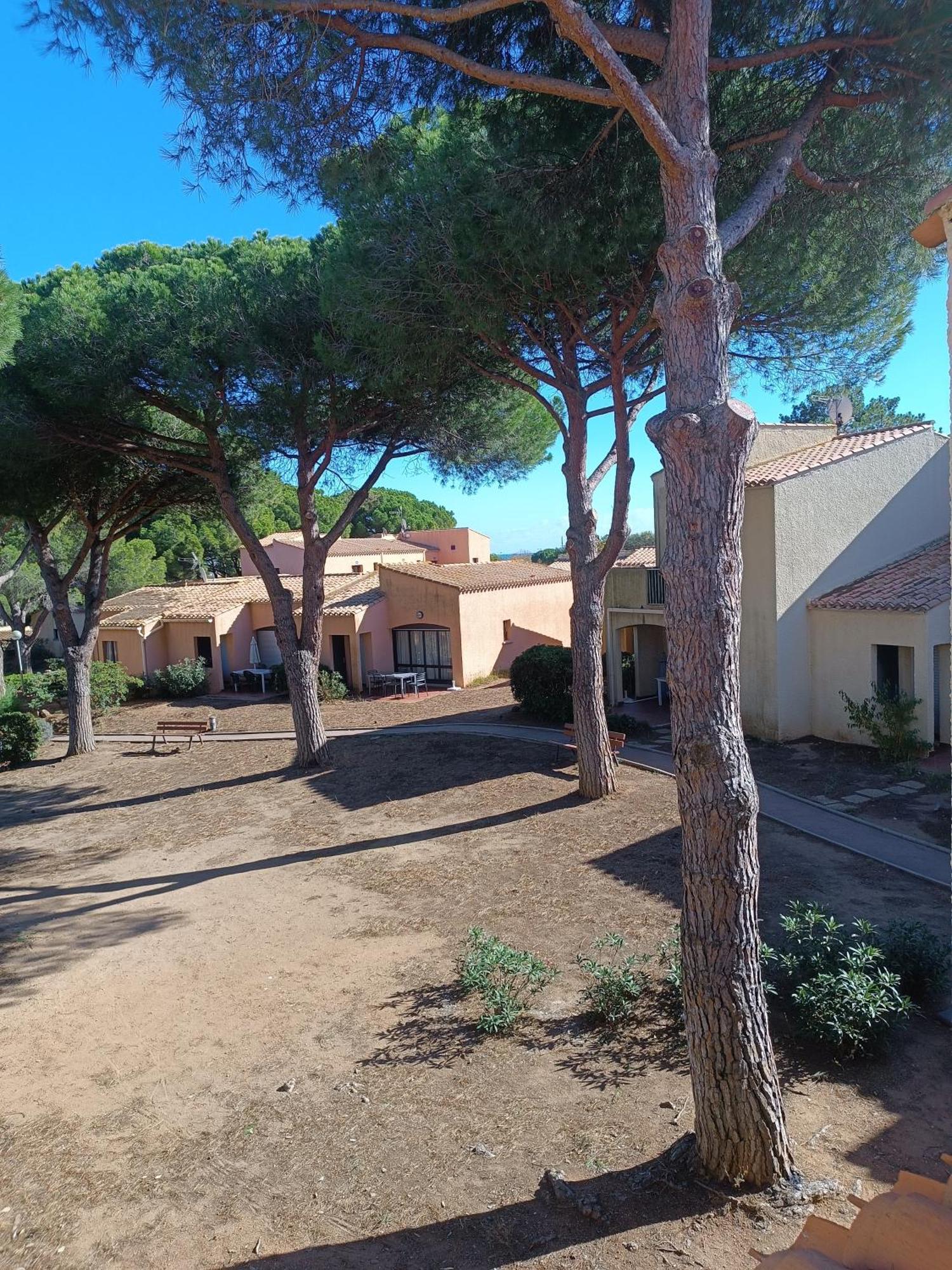 Studio Renove Dans Residence De Vacances Avec Grande Piscine Chauffee, Parking Et Terrasse آجد المظهر الخارجي الصورة